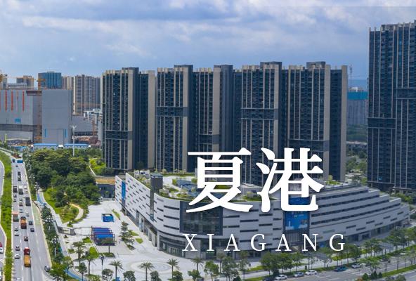 广州黄埔夏港地址托管-广州众创孵化地址-广州地址挂靠